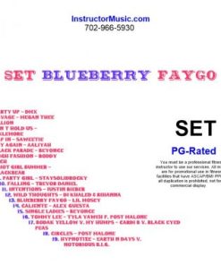SET Blueberry Faygo